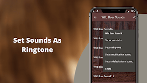 WildBoar Sounds - Wild Boar Calls for Hunting Screenshot 3