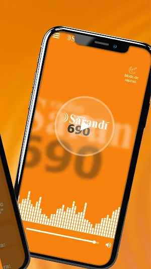 Radio Sarandi 690 Screenshot 1