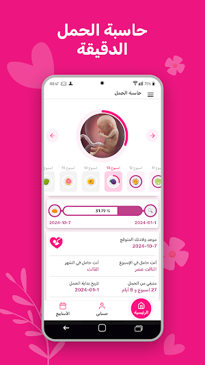 حاسبة الحمل الدقيقة Screenshot 0