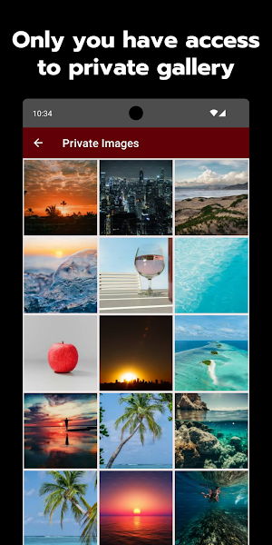 Confidential Photos: ImageSafe Screenshot 0