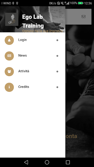 Ego Lab Training Screenshot 3
