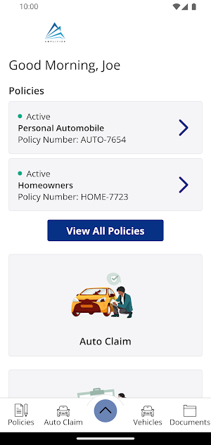 Amplified Insurance Partners Screenshot 1