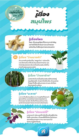 Thai Herbal Screenshot 0