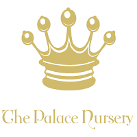 The Palace Nursery