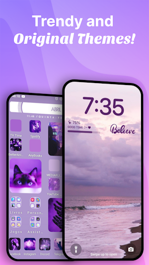 iThemes- Icon & Widget Control Screenshot 2