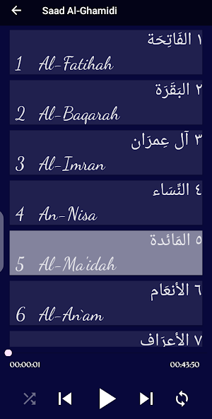 Saad Al-Ghamidi Offline Screenshot 1