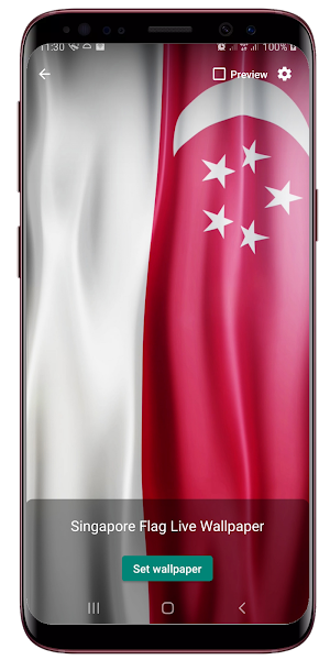 Singapore Flag Live Wallpaper Screenshot 1