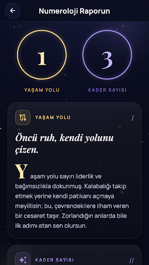 Numera: Numeroloji Analizi Screenshot 1