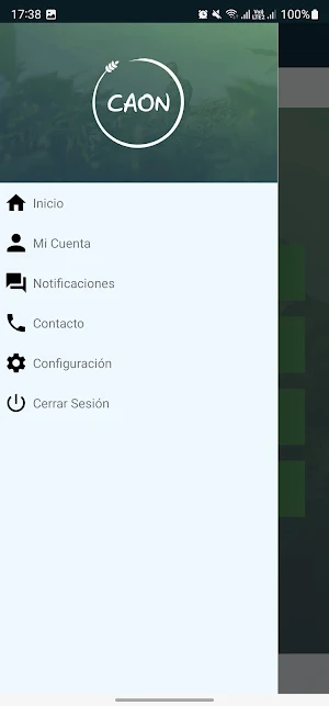 Grupo Caon Screenshot 2