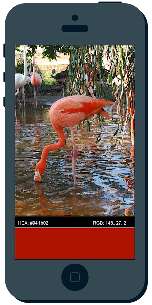 Color Catch Screenshot 2