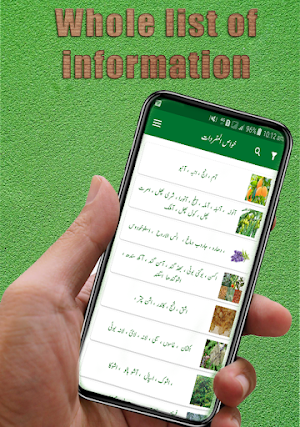khawas ul mufradatخواص لمفردات Screenshot 1