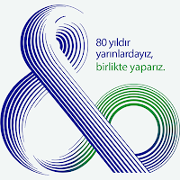 80. YIL