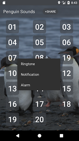 Penguin Sounds Screenshot 1