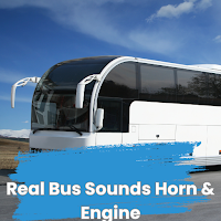 Real Bus Sounds  Horn & Engine
