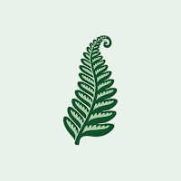 FernDeck: Flashcard Study