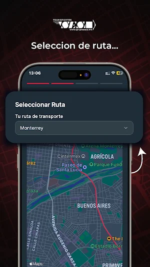 Sesa Screenshot 2
