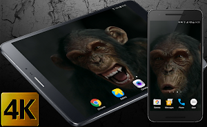 Talking Monkey Live Wallpaper Screenshot 0