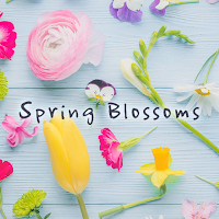 Flower Wallpaper Spring Blossoms Theme