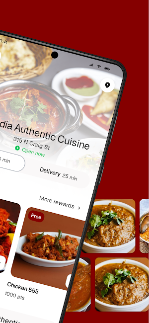 All India Authentic Cuisine Screenshot 1