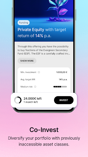 NAO Co-Investment Screenshot 2