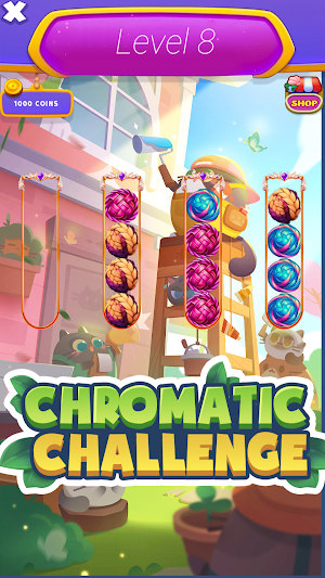 Chromatic Challenge: Braid Screenshot 1