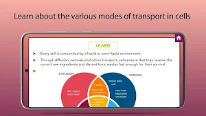 Diffusion and Osmosis Screenshot 1