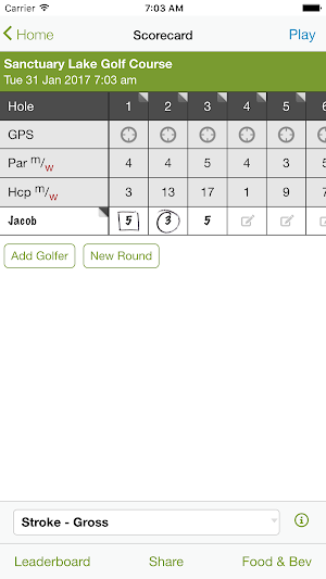 Troy Golf Screenshot 3