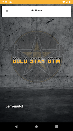 Gold Star Gym Screenshot 0