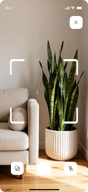 Identificador de Plantas Screenshot 1