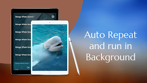 Beluga Whale Sounds Screenshot 2