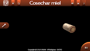 Abejas mayas Screenshot 2