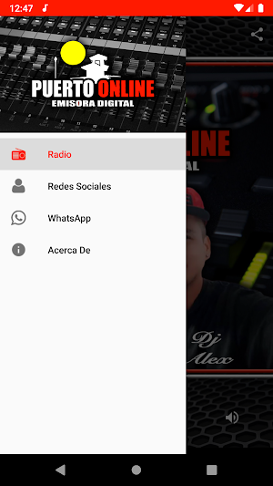 Puerto Online Screenshot 2