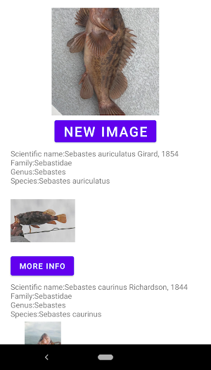 Fish identifier Screenshot 2