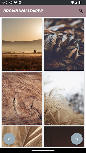 Brown Wallpaper Screenshot 1
