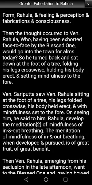 Greater Exhortation to Rahula Screenshot 2