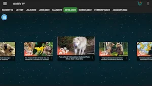 Wildlife HD Screenshot 3