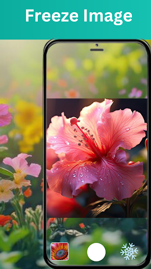 Magnifying Glass - Super Zoom Screenshot 3