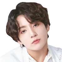 Jungkook BTS WASticker