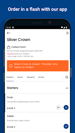 Silver Crown Screenshot 0
