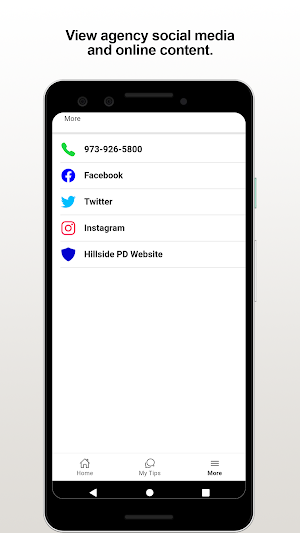 Hillside PD Screenshot 3