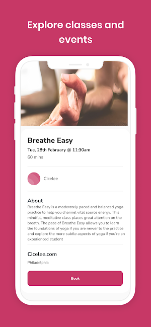 Cicelee.com Screenshot 2