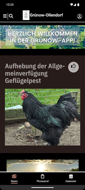 Grünow Screenshot 1