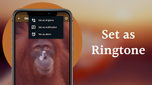 Orangutan Sounds Screenshot 3