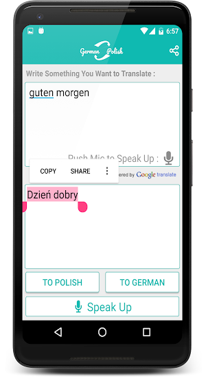 German Polish Translator Screenshot 1