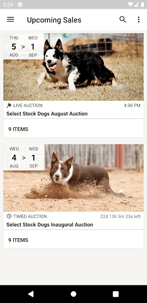 Select Stock Dog Sales Screenshot 2