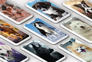Dog Wallpaper Screenshot 0