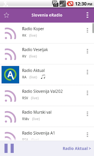 Slovenia Radio Screenshot 0