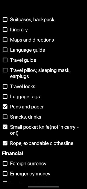 Travel Packing Checklist Screenshot 2