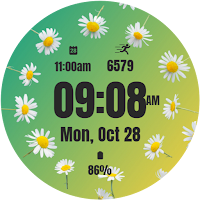 Minimalist Blossom Daisy Watch