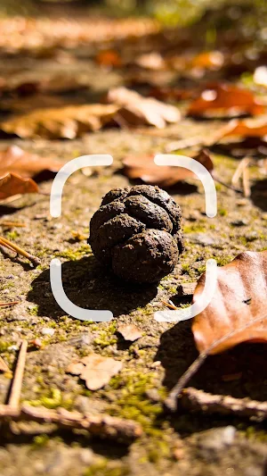 Droppings Identifier Screenshot 0